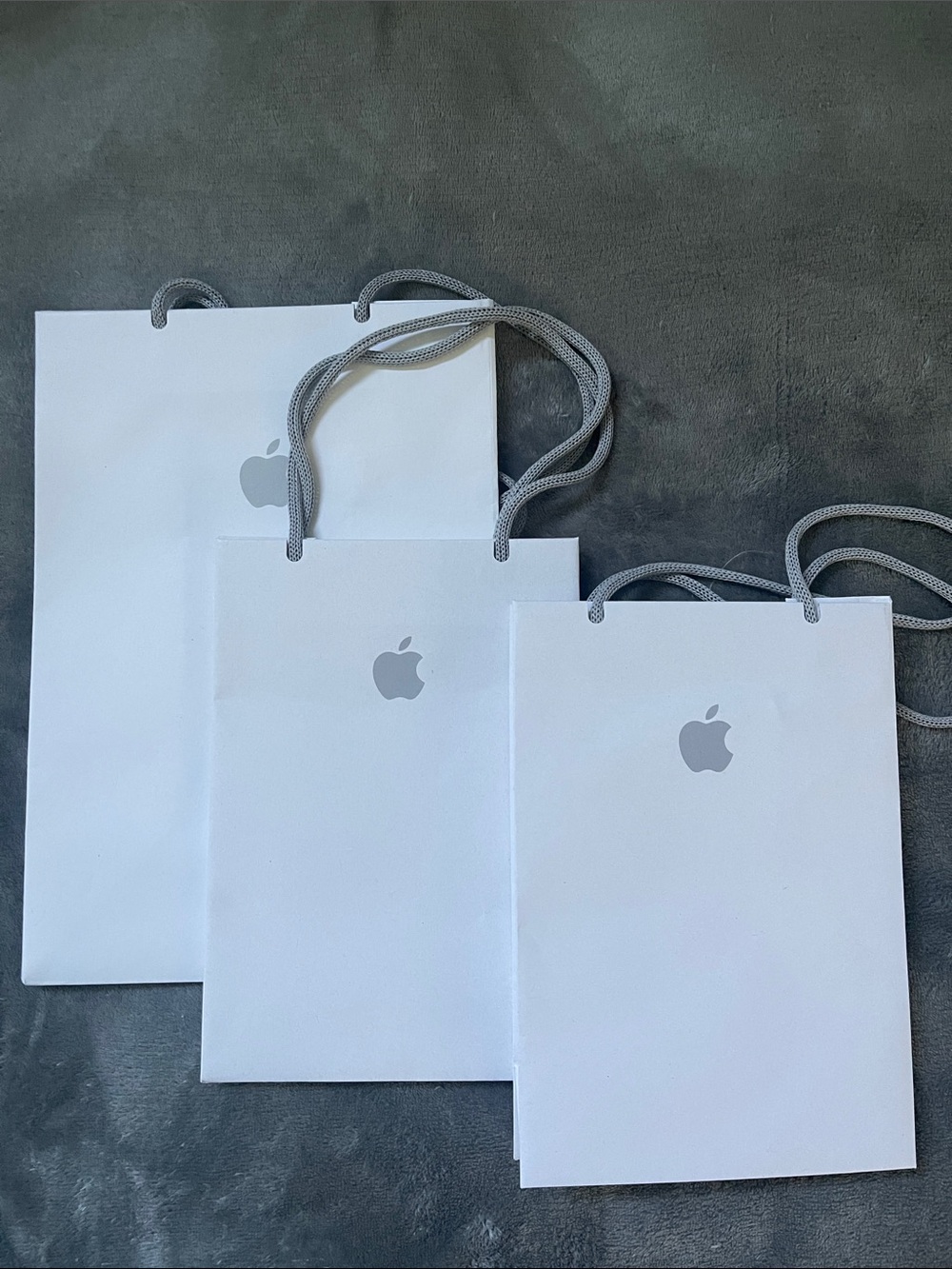 3 Apple White Paper Gift Bags with Silver Logo